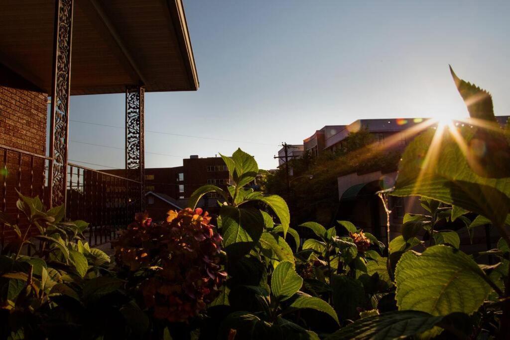 Hilltop Hideaway - 3Bdr In Downtown London, Ky Exterior foto